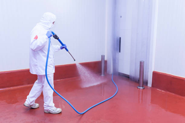 Best Post-Construction Pressure Washing  in Newport News, VA